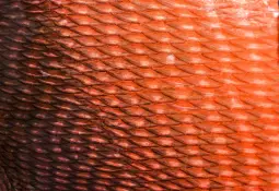 The Saskatchewan Teacher Who Turns Fish Scales Into Art