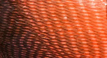 Le professeur de la Saskatchewan qui transforme les écailles de poisson en art