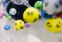 Two Ontario Friends Cash In Canada's Biggest-Ever Lottery Prize